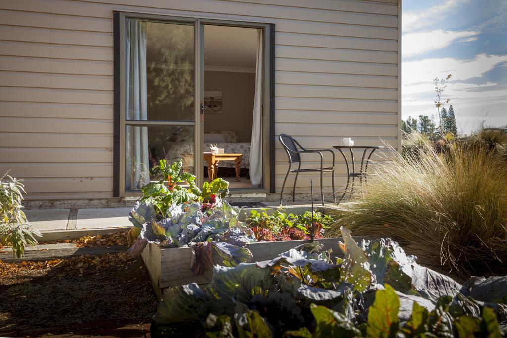 Trout 'N' Trail B&B Ranfurly Habitación foto